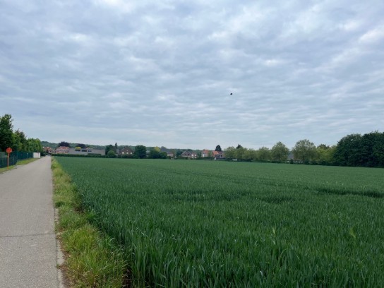Groen veld naast een weg met huizen en bomen onder een bewolkte lucht. (vergroot foto)