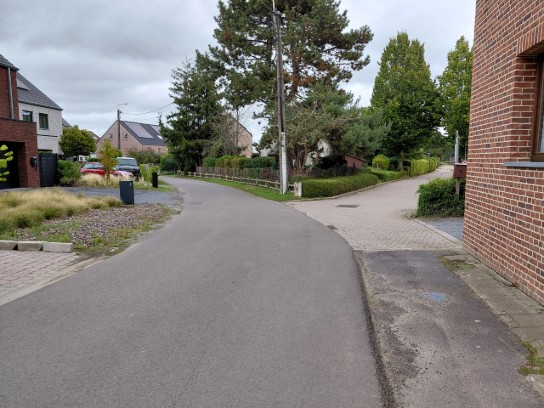 Rustige woonwijk met twee wegen die splitsen, omringd door huizen, bomen en struiken onder een bewolkte hemel. (vergroot foto)