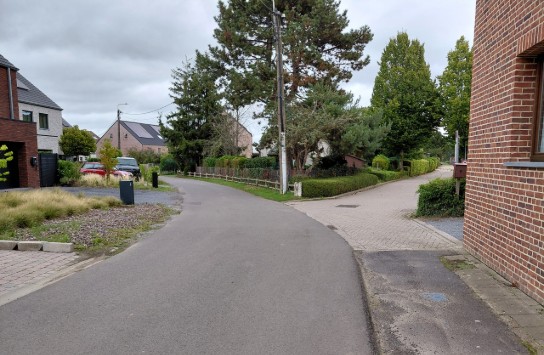Rustige woonwijk met twee wegen die splitsen, omringd door huizen, bomen en struiken onder een bewolkte hemel. (vergroot foto)