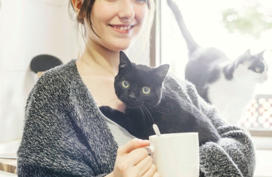 Vrouw met grijze trui houdt zwarte kat vast en drinkt uit een witte mok, met een andere kat op de vensterbank. (vergroot foto)