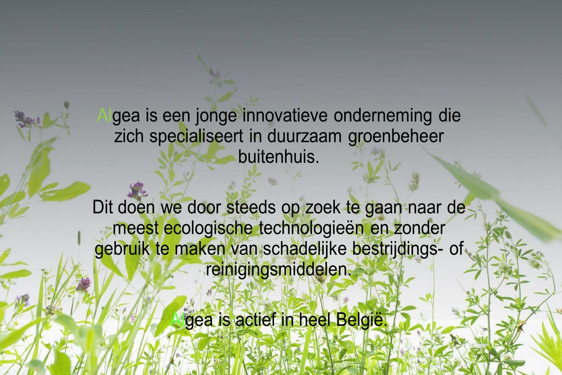 Algea