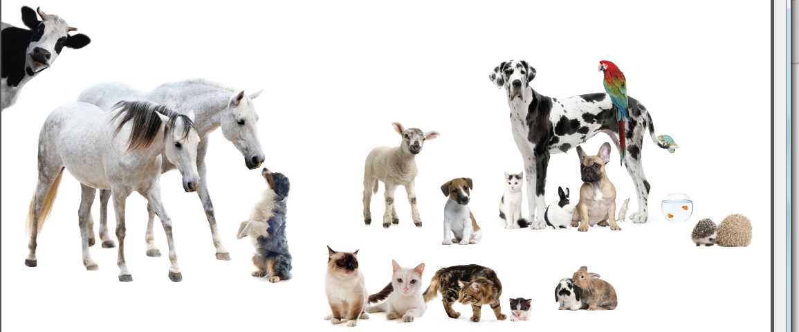 Animal Care BVBA