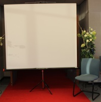 projectiescherm Deruddere