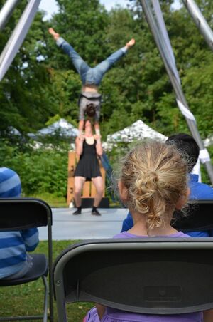 Circusvoorstelling waar een dame een grote manb de lucht insteekt