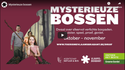 Mysterieuze bossen
